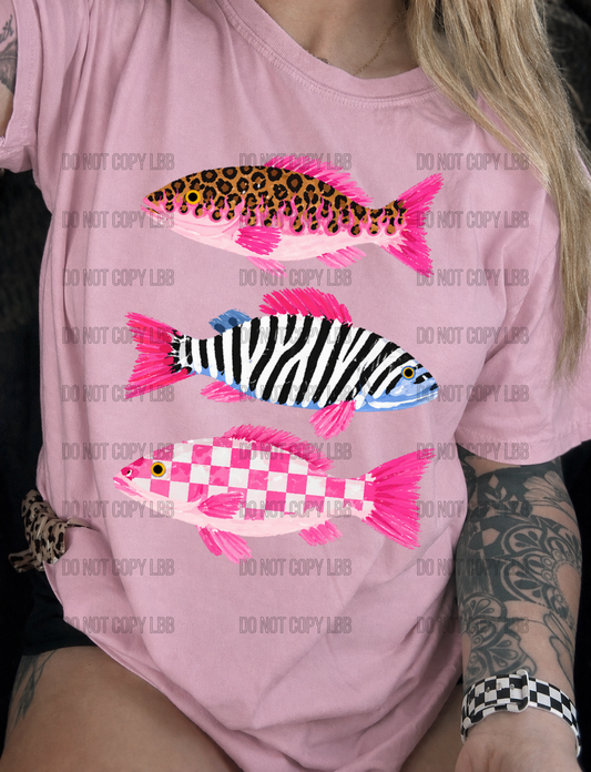 edgy fish